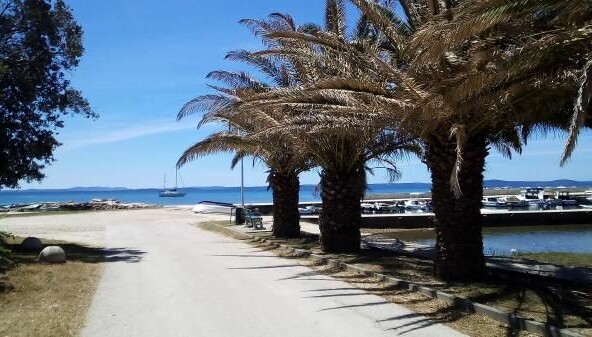 Kuća prizemnica  Prodaja  Privlaka  Privlaka