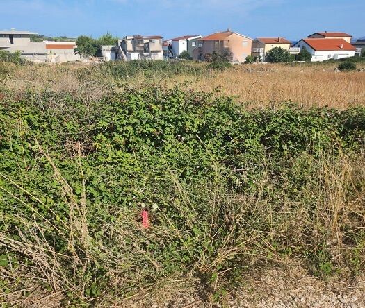 Građevinsko zemljište  Prodaja  Vir  Vir